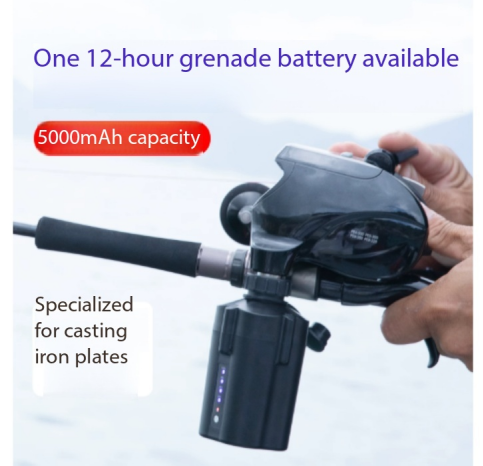 Elektrische vismolenbatterij 1 - Electric Reel recensie en prijs